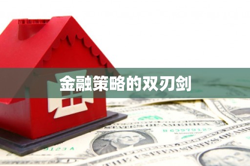 务川金融策略的双刃剑