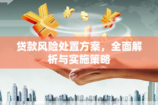 海原贷款风险处置方案，全面解析与实施策略