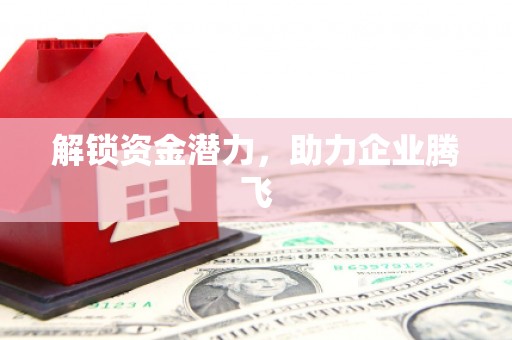龙口解锁资金潜力，助力企业腾飞