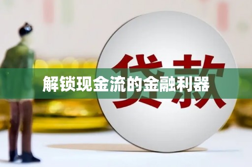 巧家解锁现金流的金融利器