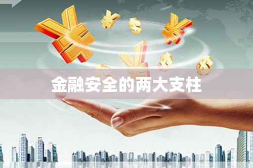 威宁金融安全的两大支柱