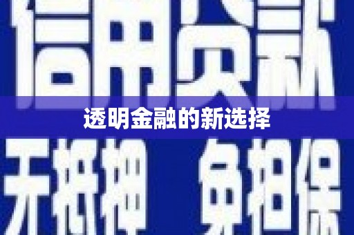 靖州透明金融的新选择