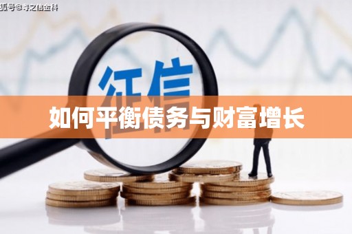 颍州如何平衡债务与财富增长